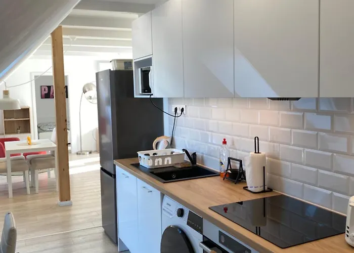 R77 Downtown - Penthouse Appartement *