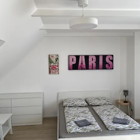 公寓 R77 Downtown - Penthouse 布达佩斯