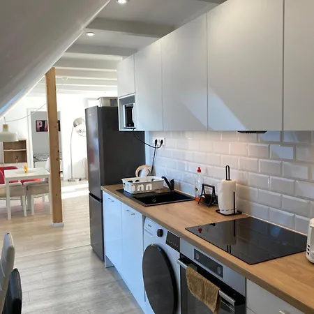 R77 Downtown - Penthouse Apartament *