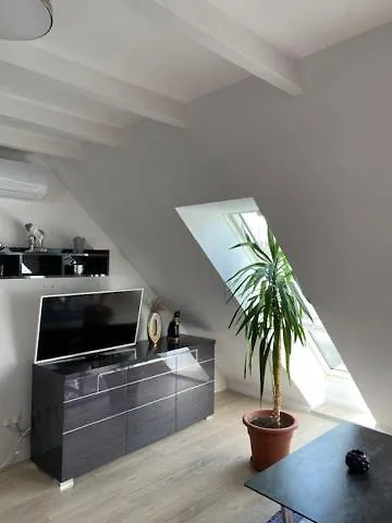 R77 Downtown - Penthouse Apartament